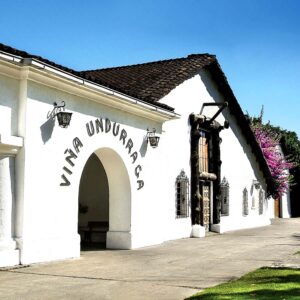 Tour Viña Undurraga