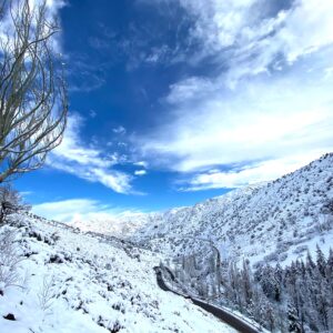 Tour Valle Nevado - Farellones
